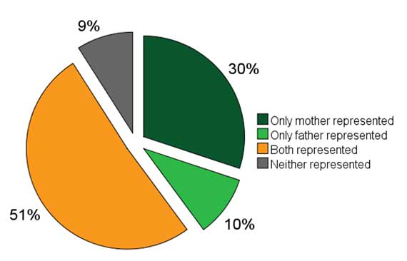 Chart 2: Legal representation in six superior courts, 2018-2019