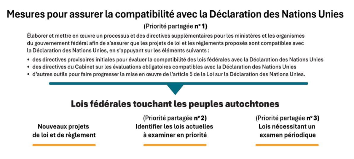 Un visuel intitulé « Mesures pour assurer la compatibilité avec la Déclaration des Nations Unies »