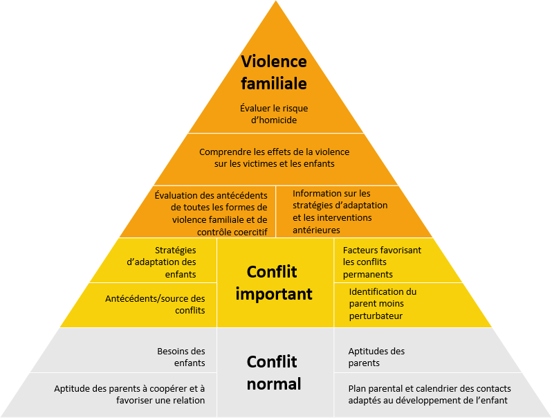 Figure&nbsp;3&nbsp;: Questions relatives aux plans parentaux dans les affaires de violence familiale