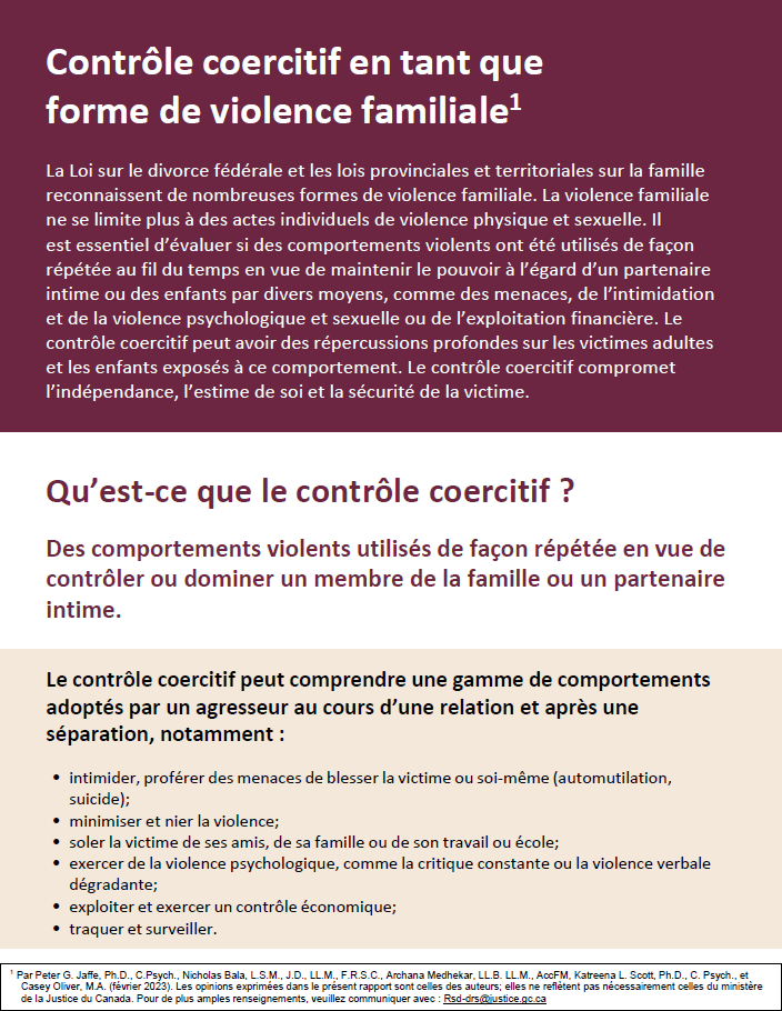 Supplément 2&nbsp;: Le contrôle coercitif comme forme de violence familiale