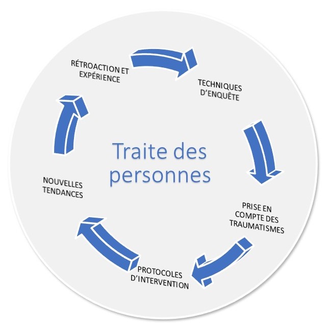 Figure 1&nbsp;: Roue des thèmes des enquêtes sur la traite de personnes