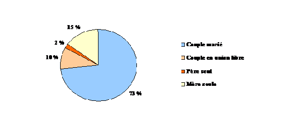 Figure 5 : Proportion d'enfants dans les ménages privés, selon la structure de la famille, 1996