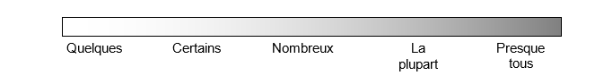 L'&eacute;chelle descriptive suivante a servi &agrave; rendre compte de certains aspects des entrevues avec les informateurs cl&eacute;s