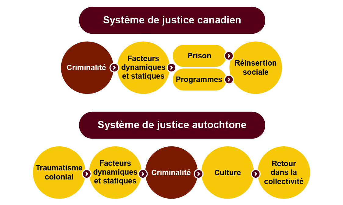 Figure 1. Comparaison des structures de chaque système